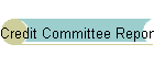 Credit Committee Report